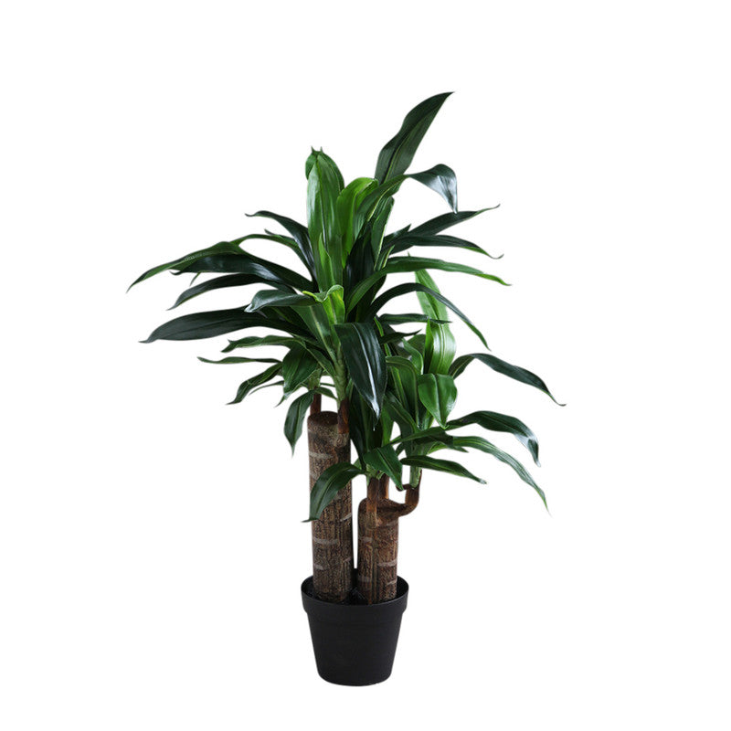 80Cm Artificial Double Stem Yucca